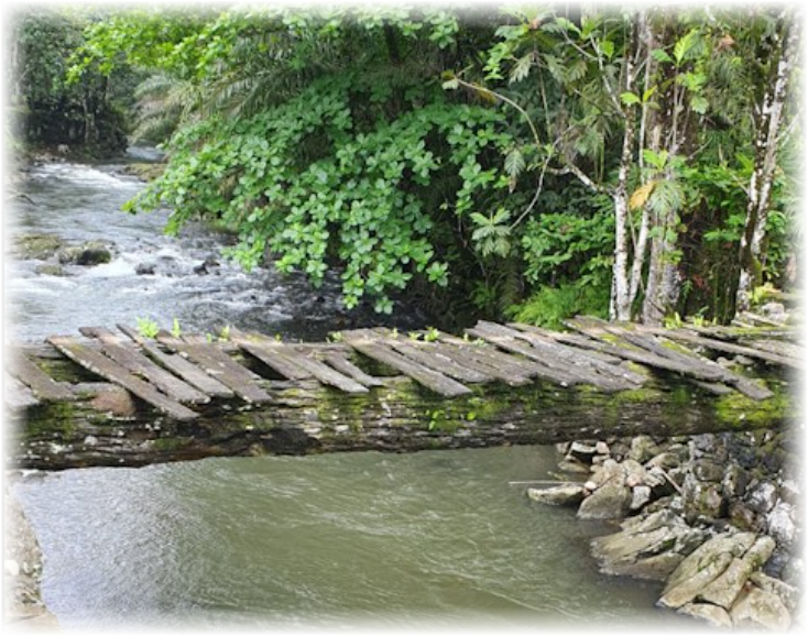 Holzsteg über ruhigem Fluss, umgeben von dichtem Grün und Bäumen am Ufer.