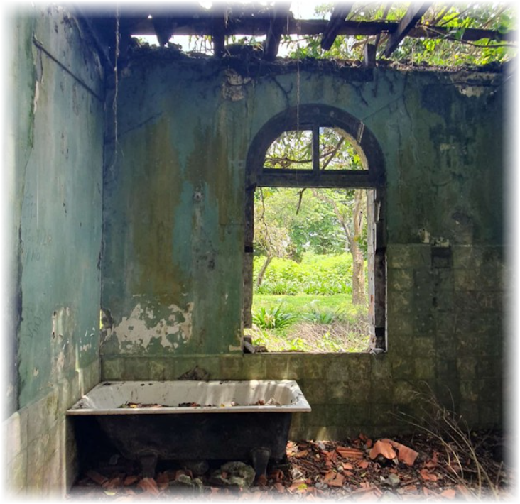 Verlassener Raum mit bröckelnden Wänden, offenem Fenster und überwuchertem Garten im Hintergrund.