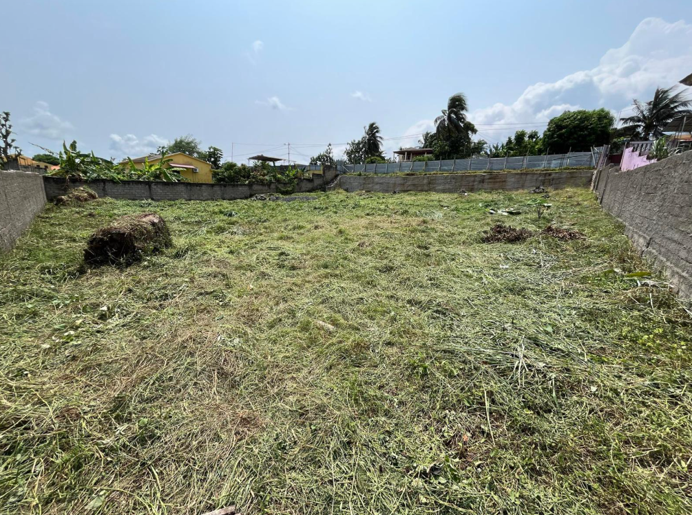 Overgrown grassy vacant lot with concrete boundary walls, trees, and houses under a blue sky.