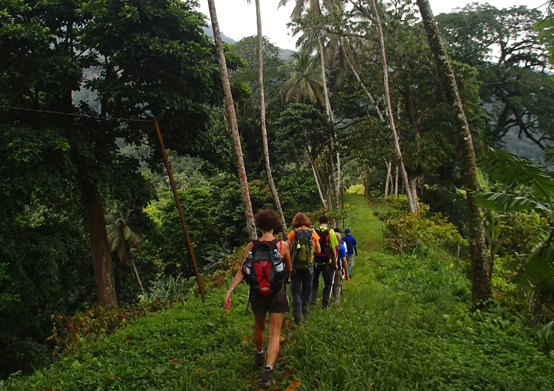 São Tomé aktiv: Inselumrundung